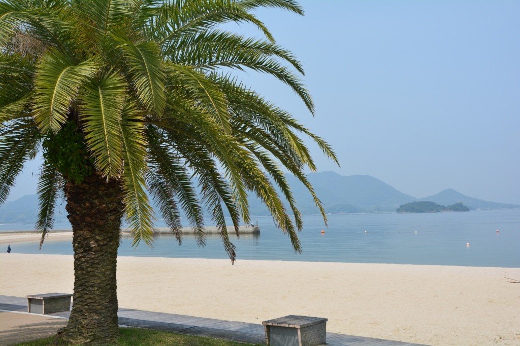 🏖️ 세토다 선셋 비치 이미지 8